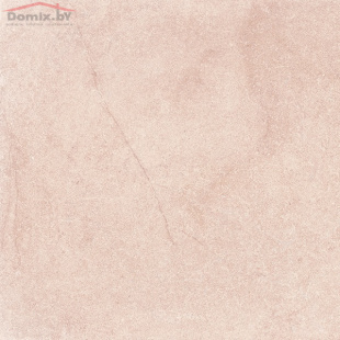 Керамогранит Гранитея Шунут Коричневый  G 304 MR (60х60) матовый